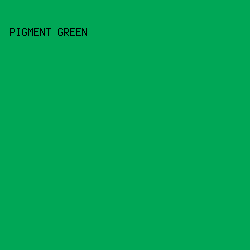 00A756 - Pigment Green color image preview