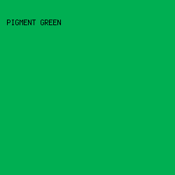 00AF52 - Pigment Green color image preview