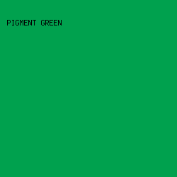 00a14e - Pigment Green color image preview