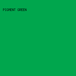 00a64d - Pigment Green color image preview