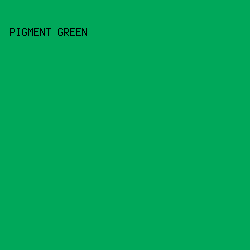 00a85a - Pigment Green color image preview
