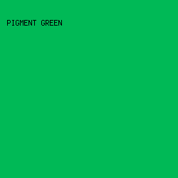 00b956 - Pigment Green color image preview