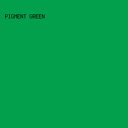 02a04c - Pigment Green color image preview