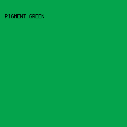 04a44c - Pigment Green color image preview
