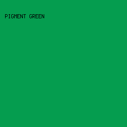 059D4F - Pigment Green color image preview