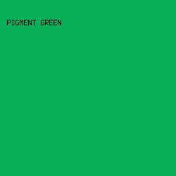 07AF58 - Pigment Green color image preview
