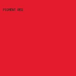 E31B2C - Pigment Red color image preview