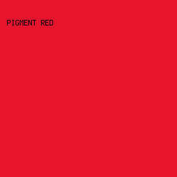 E6142D - Pigment Red color image preview