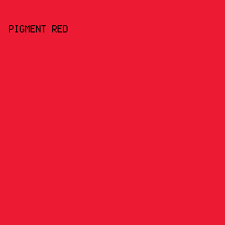 EC1A33 - Pigment Red color image preview
