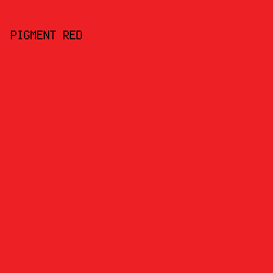EC2025 - Pigment Red color image preview