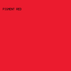eb1b2e - Pigment Red color image preview