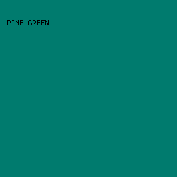 007b6e - Pine Green color image preview