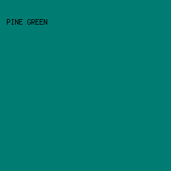 007c73 - Pine Green color image preview