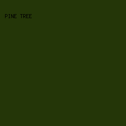 243608 - Pine Tree color image preview
