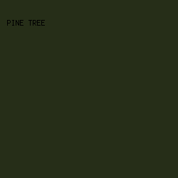 262e18 - Pine Tree color image preview