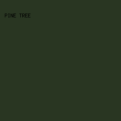 293622 - Pine Tree color image preview