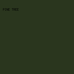 2A361E - Pine Tree color image preview