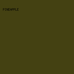 444112 - Pineapple color image preview