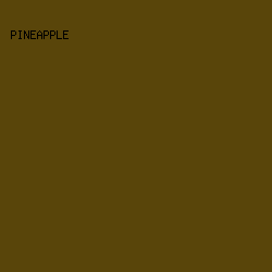 59450a - Pineapple color image preview