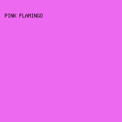 ED69EF - Pink Flamingo color image preview