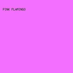 f36ffe - Pink Flamingo color image preview