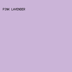 CBB4D8 - Pink Lavender color image preview