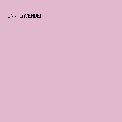 E2B8CE - Pink Lavender color image preview