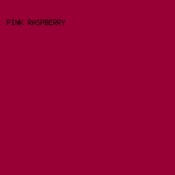 980035 - Pink Raspberry color image preview