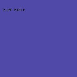 5049A7 - Plump Purple color image preview