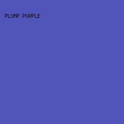 5155BA - Plump Purple color image preview