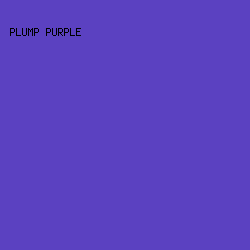 5B41C1 - Plump Purple color image preview