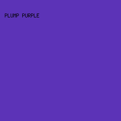 5C33B7 - Plump Purple color image preview
