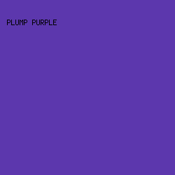 5C37AD - Plump Purple color image preview