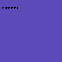 5C4AB8 - Plump Purple color image preview