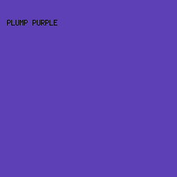 5D3FB6 - Plump Purple color image preview