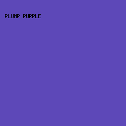 5D48B8 - Plump Purple color image preview