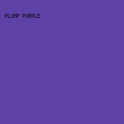 5F42A7 - Plump Purple color image preview