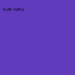 603CBD - Plump Purple color image preview