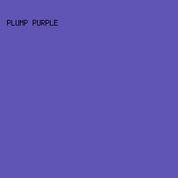 6054B5 - Plump Purple color image preview