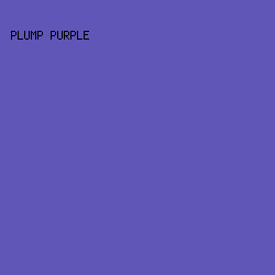 6056B8 - Plump Purple color image preview