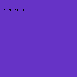 6633C6 - Plump Purple color image preview