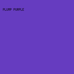 663CC0 - Plump Purple color image preview