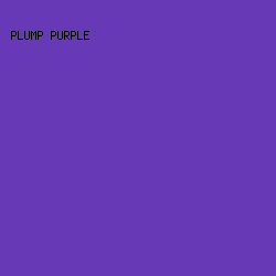 6739B7 - Plump Purple color image preview