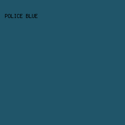 205569 - Police Blue color image preview