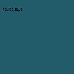 215A69 - Police Blue color image preview