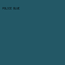 235866 - Police Blue color image preview