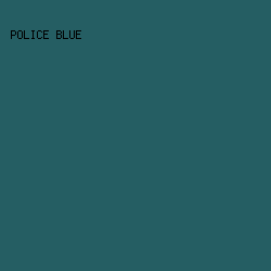 255E63 - Police Blue color image preview