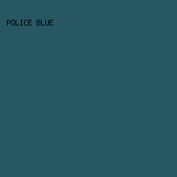 275762 - Police Blue color image preview