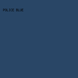 294666 - Police Blue color image preview