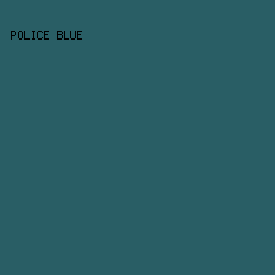 295e65 - Police Blue color image preview